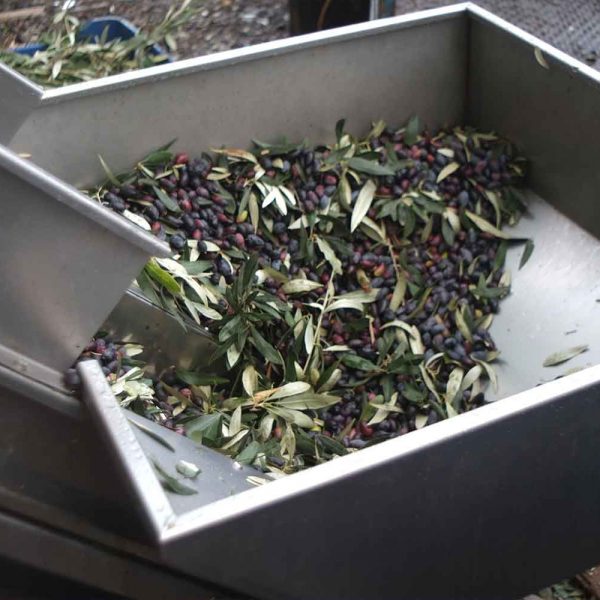 GOB_methods_gallery_a