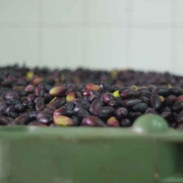 GOB_methods_gallery_d