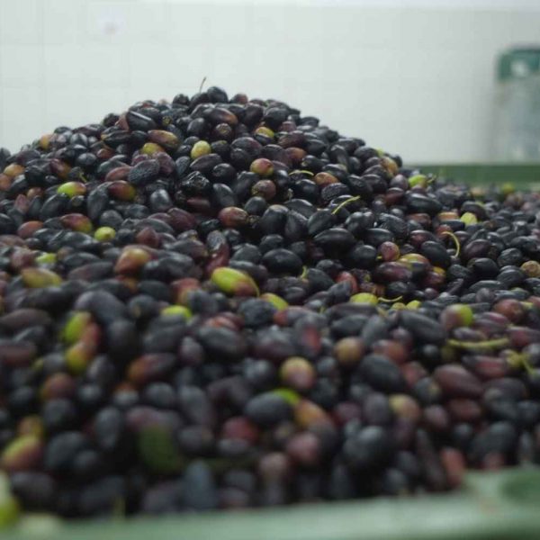 GOB_methods_gallery_f