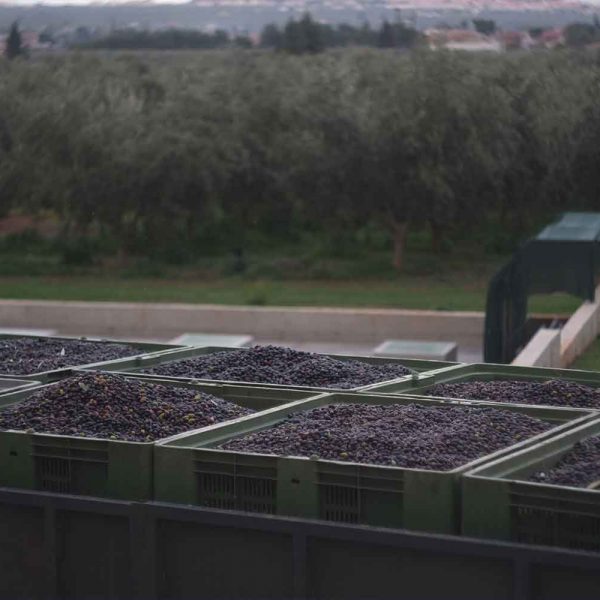 GOB_methods_gallery_g